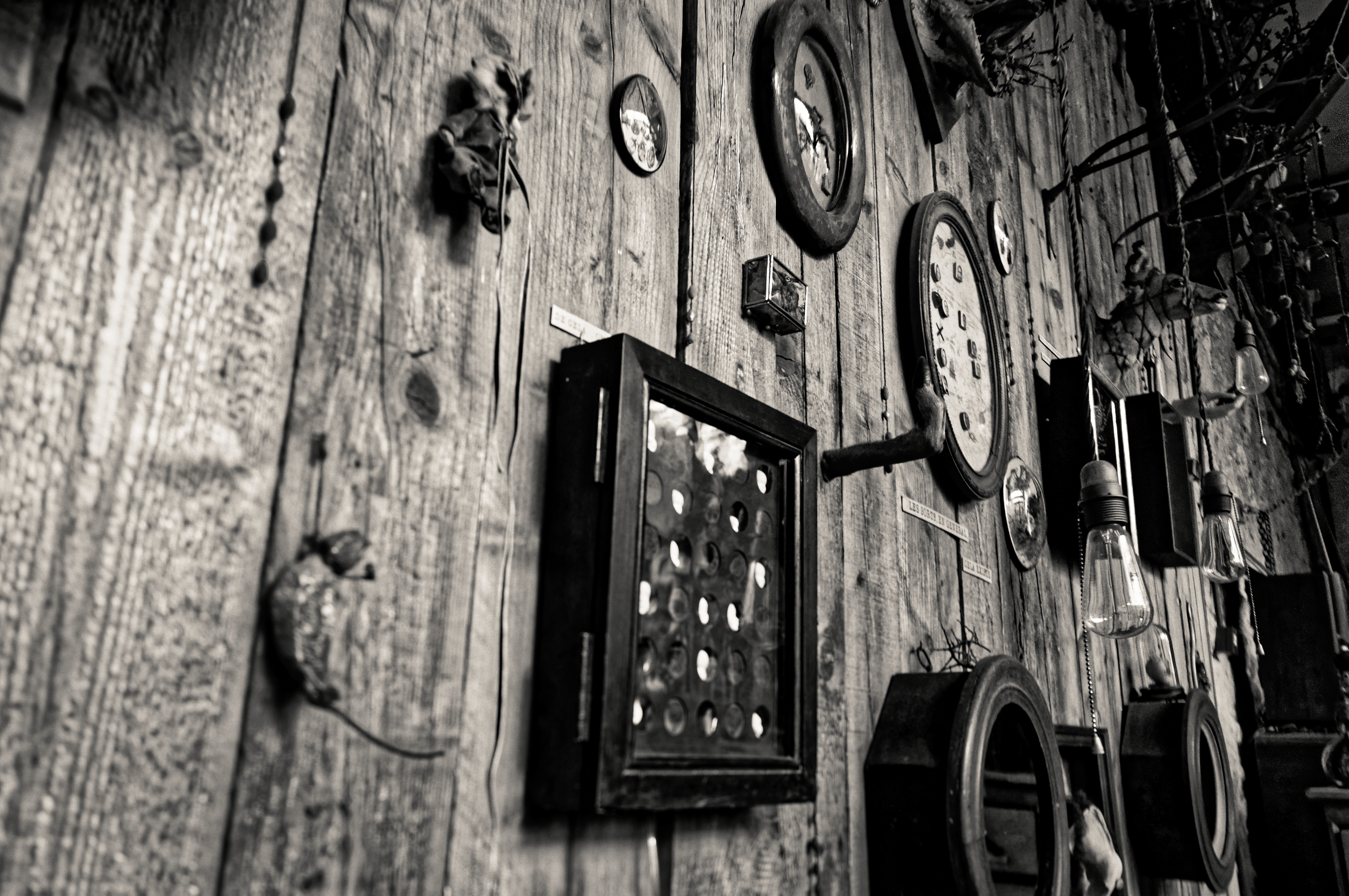Wooden wall covered with old clocks, frames, and curiosities