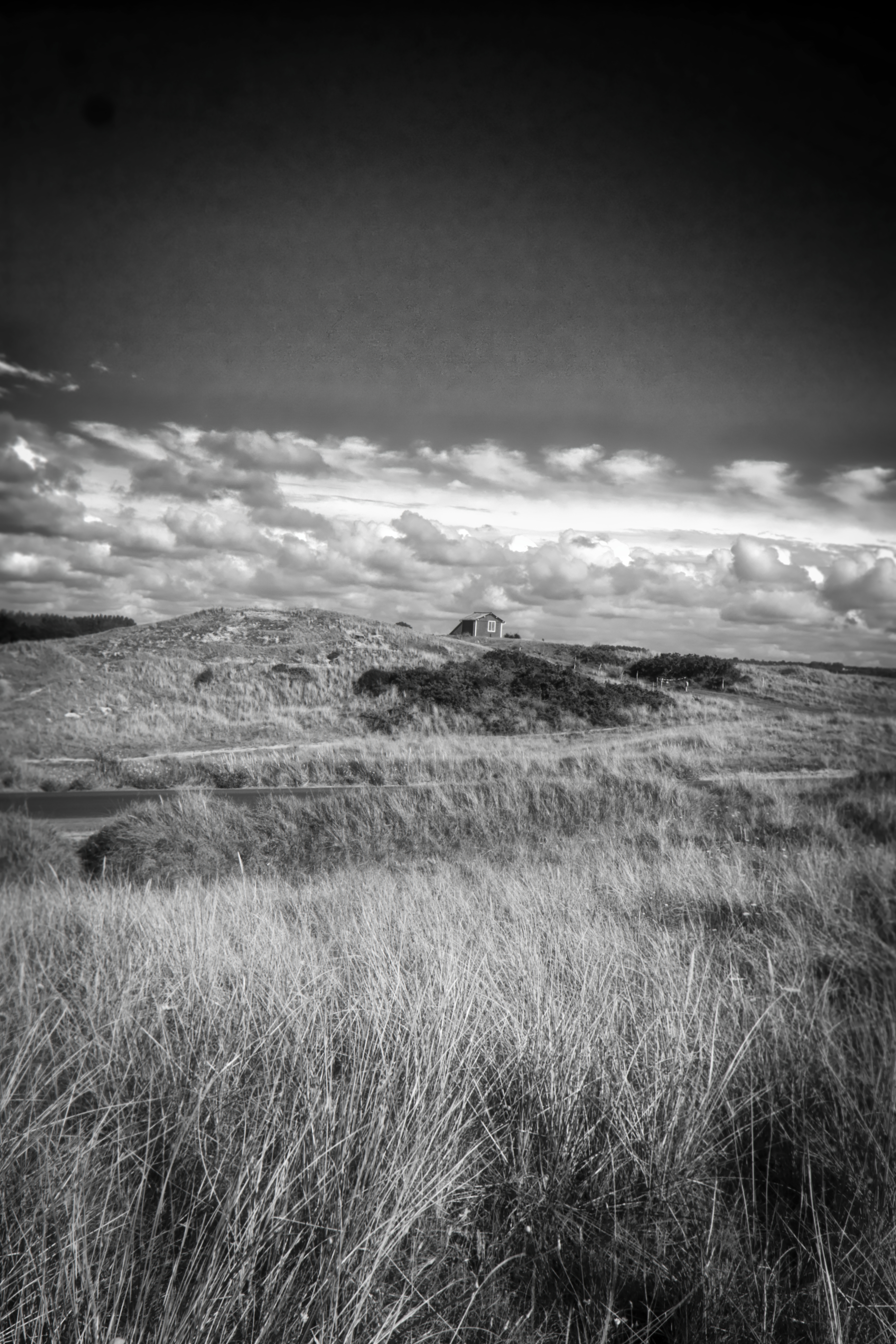 Lone cabin on windswept hills under dramatic clouds